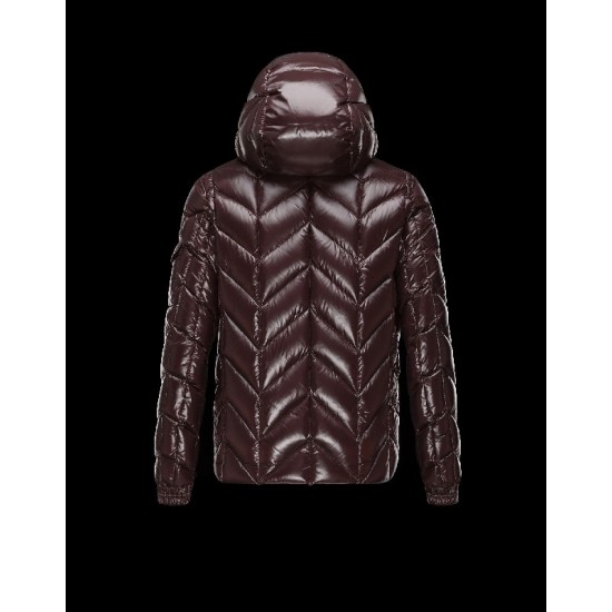 Moncler BERRIAT Detachable Hood Turtleneck Dark brown Jackets Nylon/Polyamid Mens 41456769LD